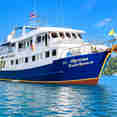 Manta Queen 7
