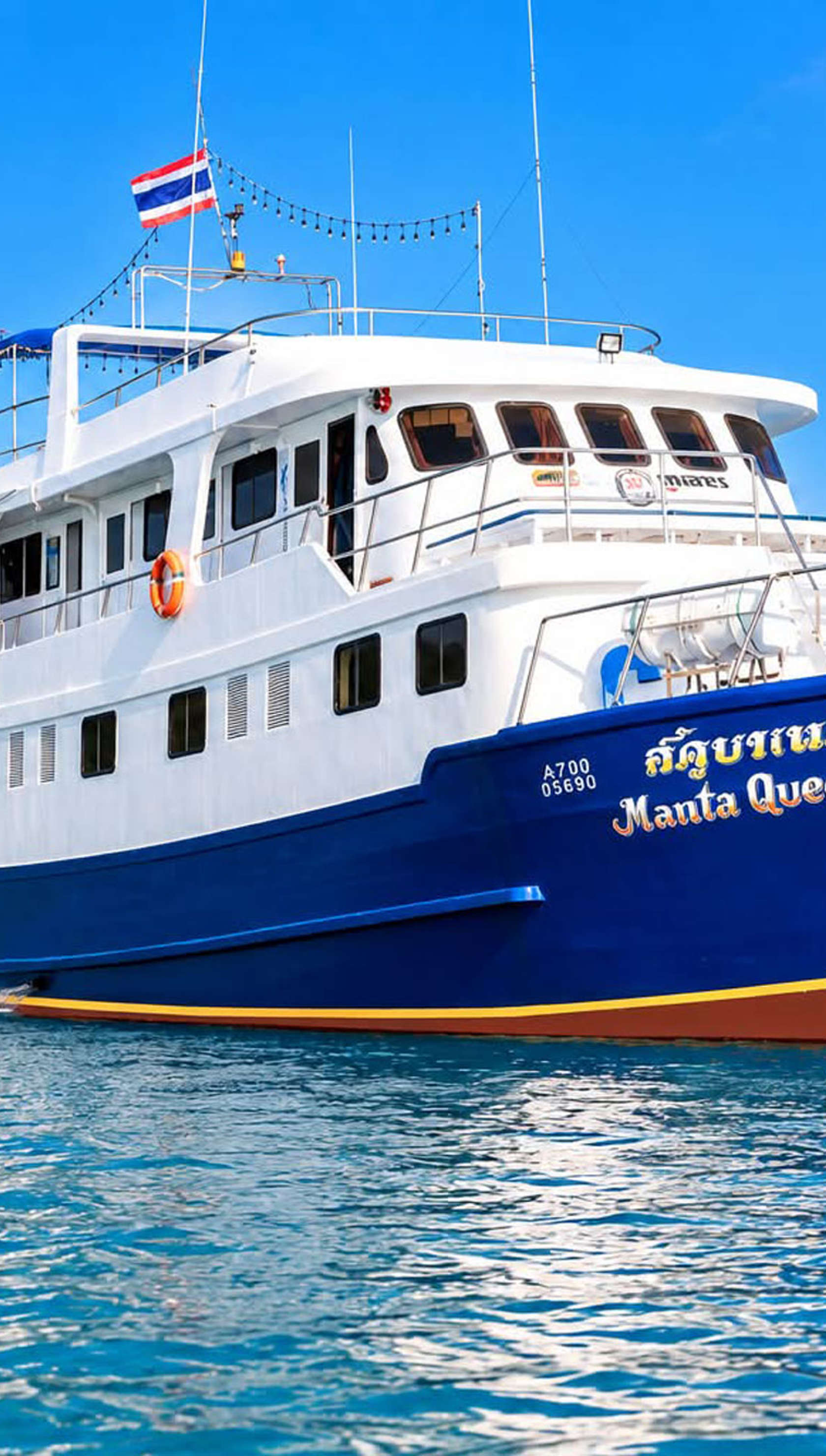 Manta Queen 7