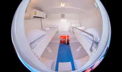 Quad Cabin