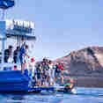 Dive Platform - Manta Queen 7
