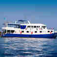 Manta Queen 7
