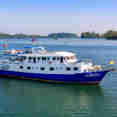 Manta Queen 7