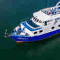 Manta Queen 7