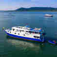 Manta Queen 7