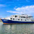 Manta Queen 7
