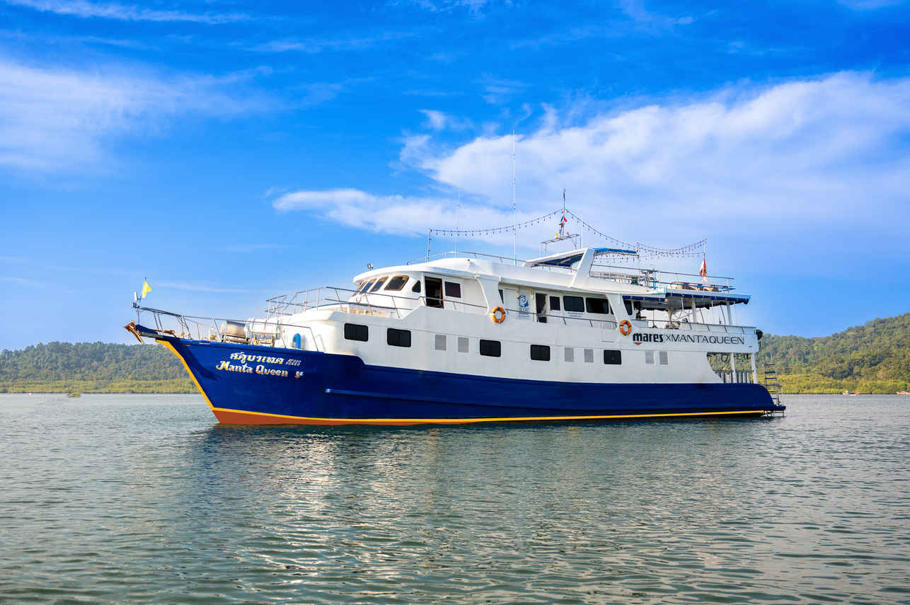 Manta Queen 7