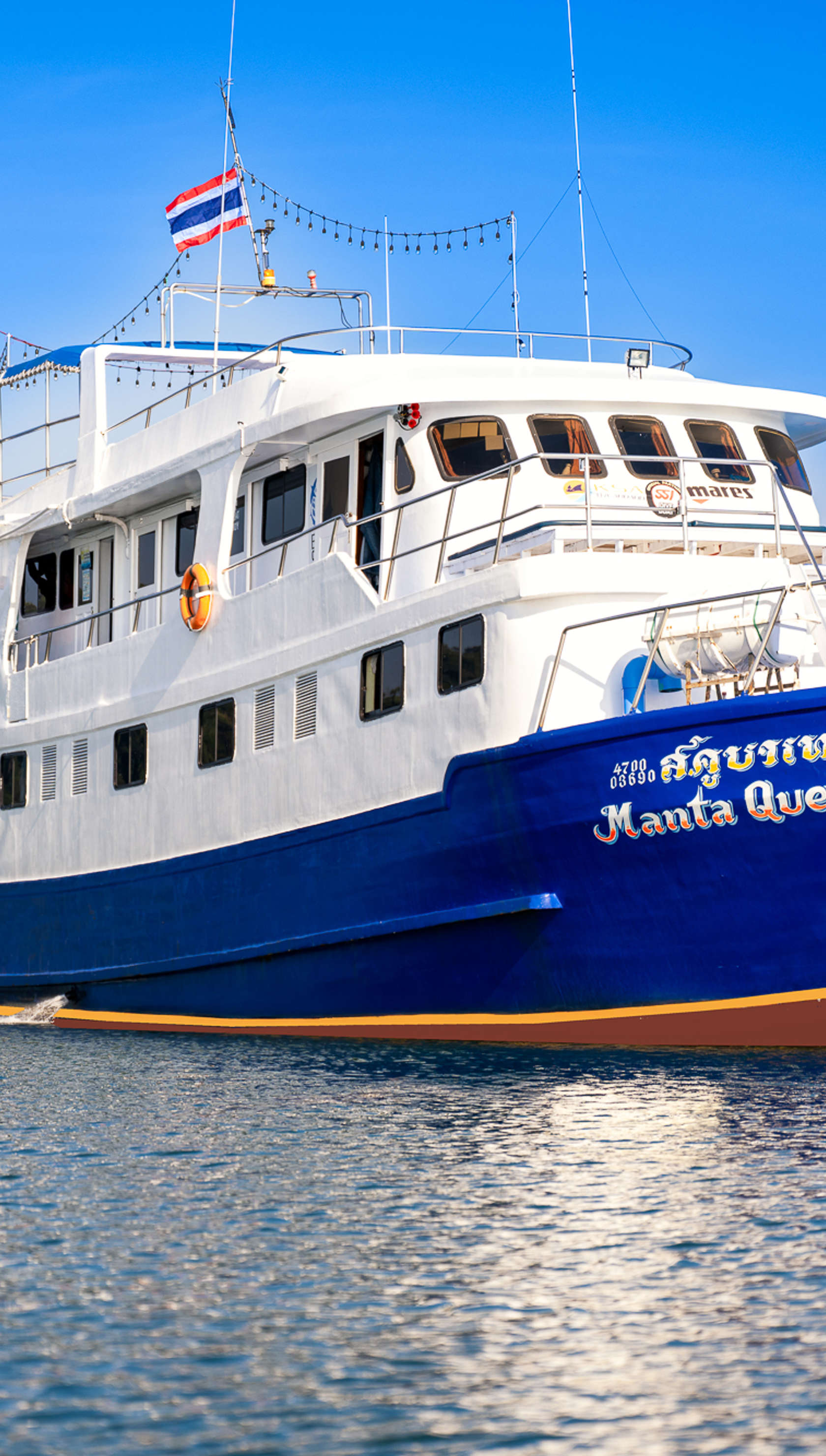 Manta Queen 7
