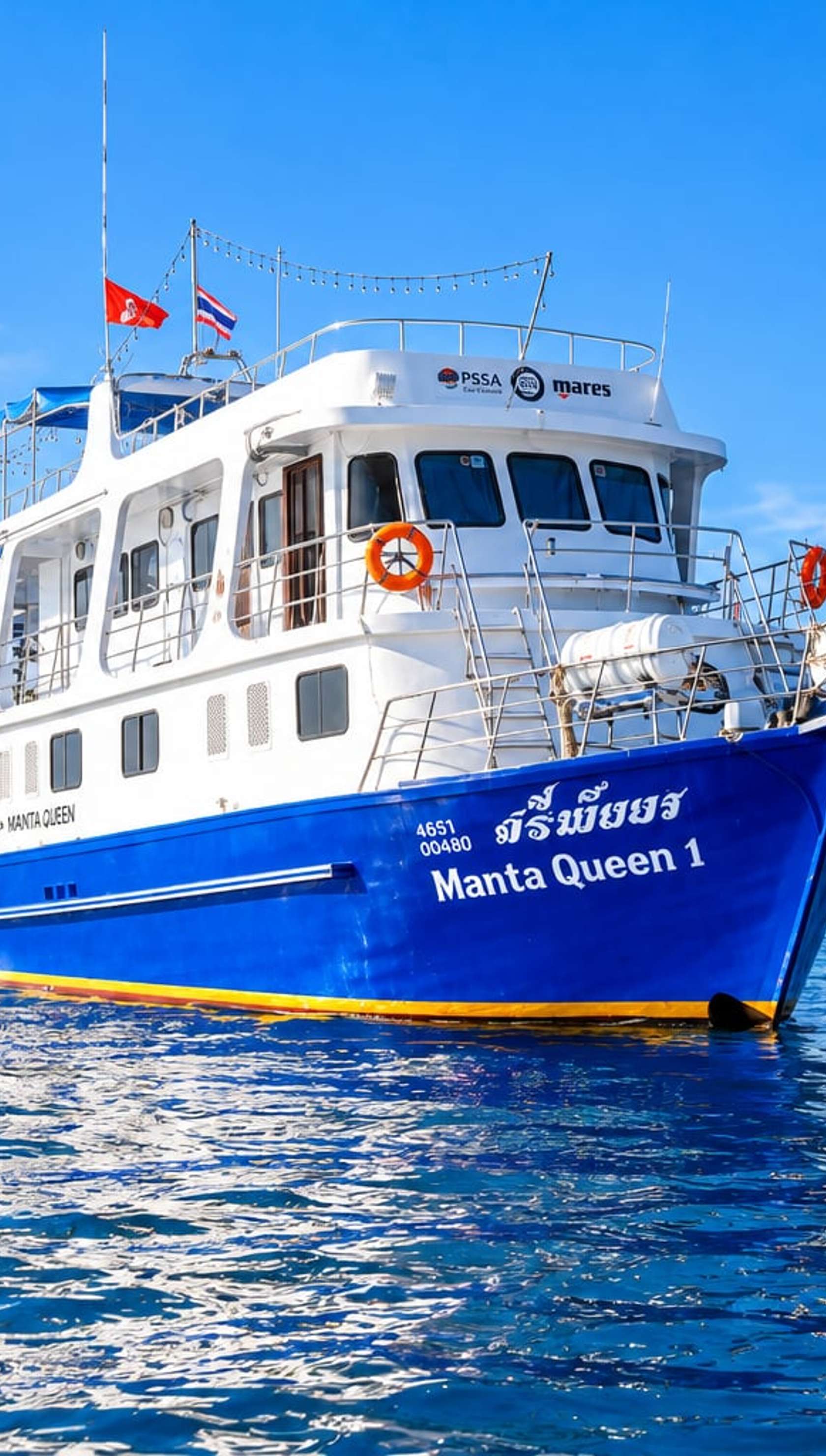 Manta Queen 1