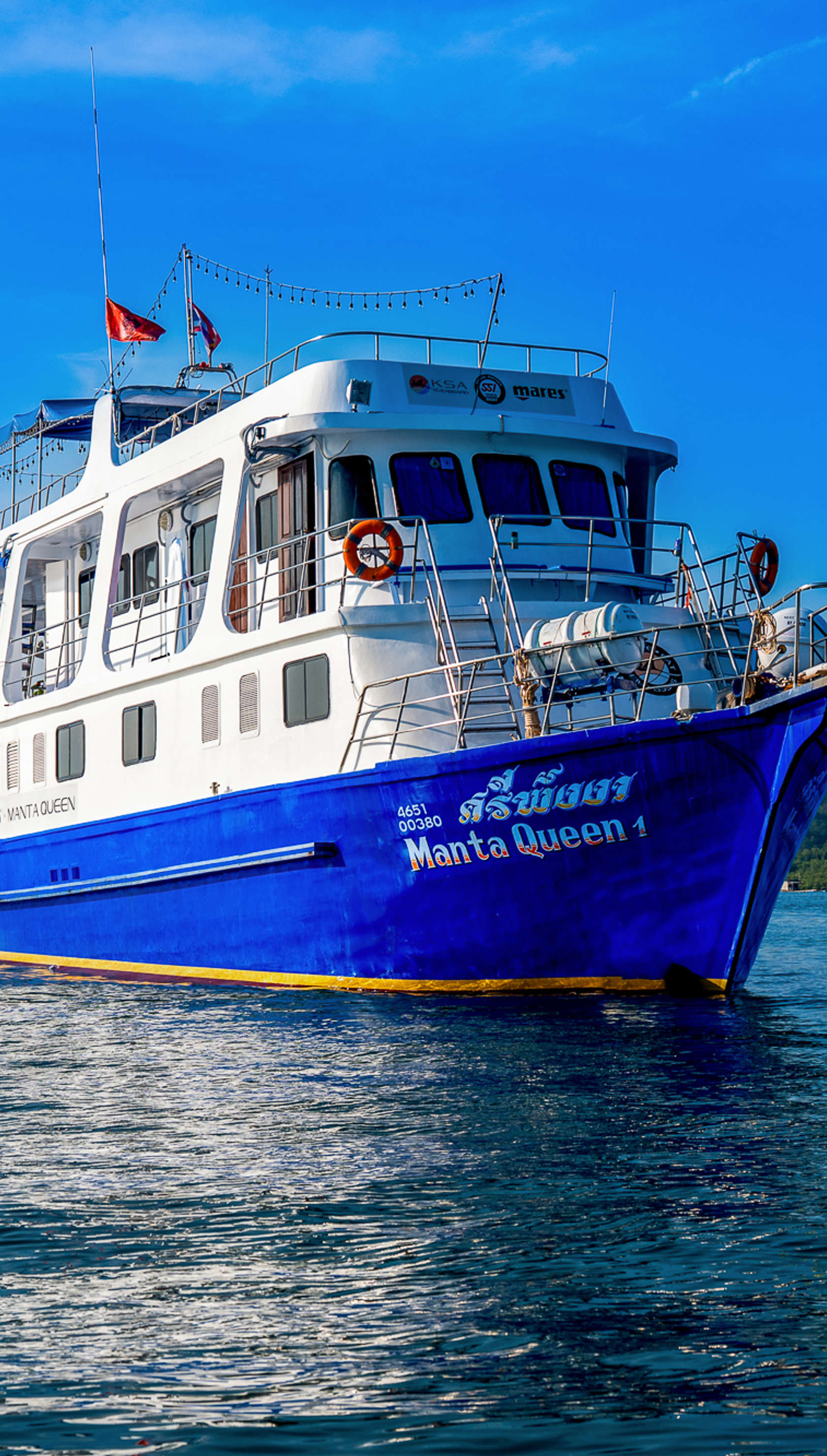 Manta Queen 1