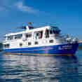 Manta Queen 1