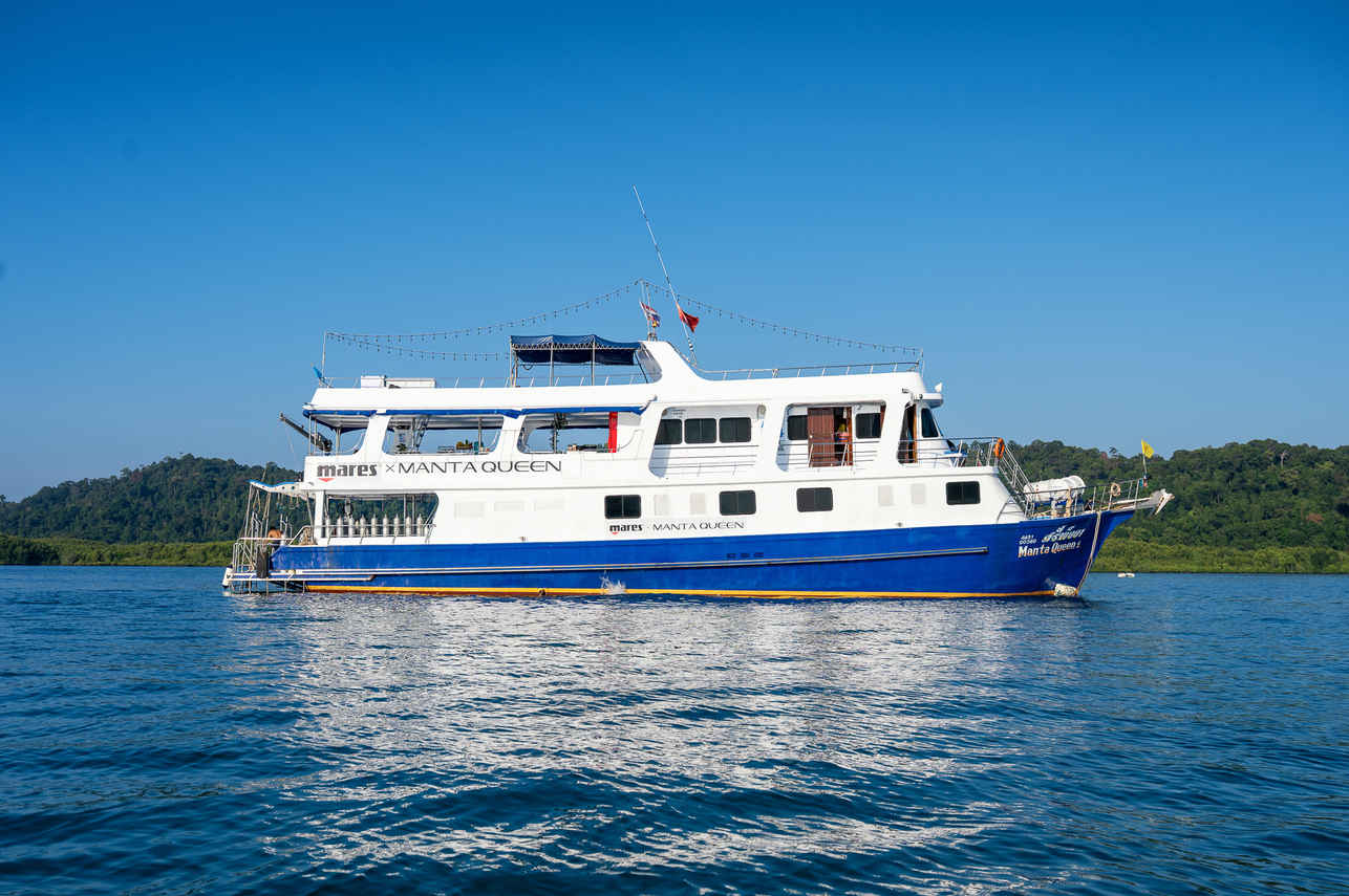 Manta Queen 1