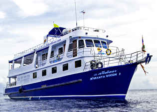 Manta Queen 1