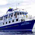 Manta Queen 1