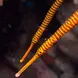 Banded Pipefish in the Similans