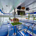 Comedor al Aire Libre - Manta Queen 2