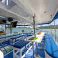 Comedor al Aire Libre - Manta Queen 2