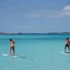 Stand Up Paddle - Aqua Cat