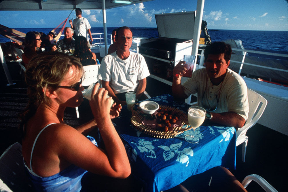 Comedor al Aire Libre - Aqua Cat