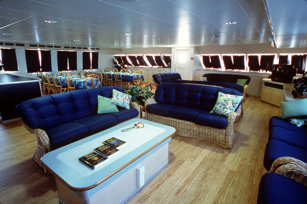 Salon interior - Aqua Cat