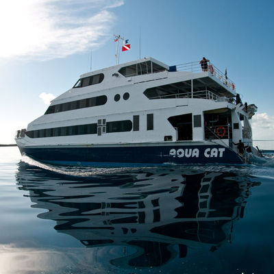 All Star Aqua Cat — vessel photograph