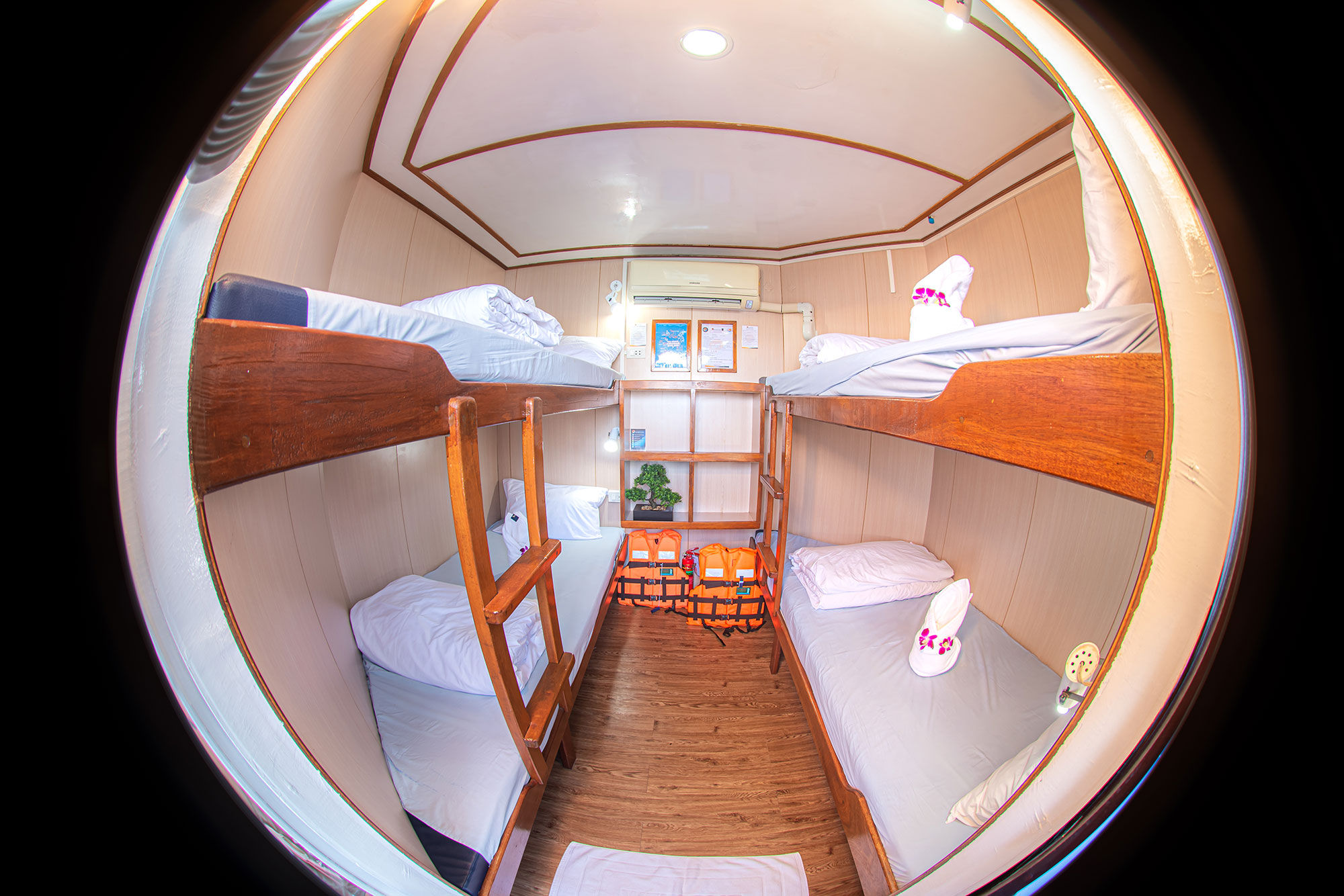 Quad Cabin - Manta Queen 3