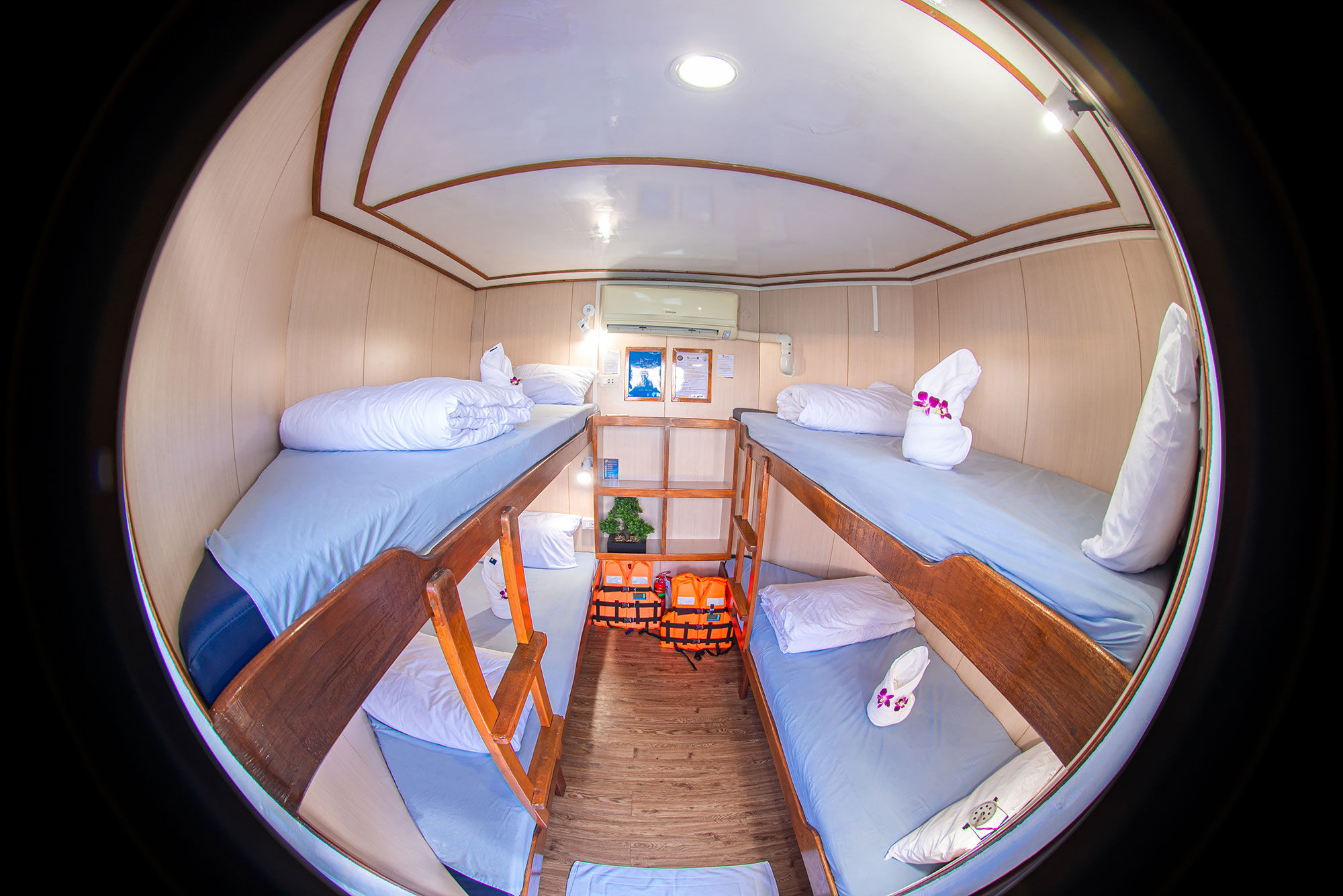 Quad Cabin - Manta Queen 3