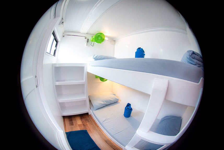 Standard Bunk Cabin - Manta Queen 5