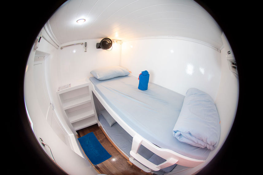 Standard Bunk Cabin - Manta Queen 5