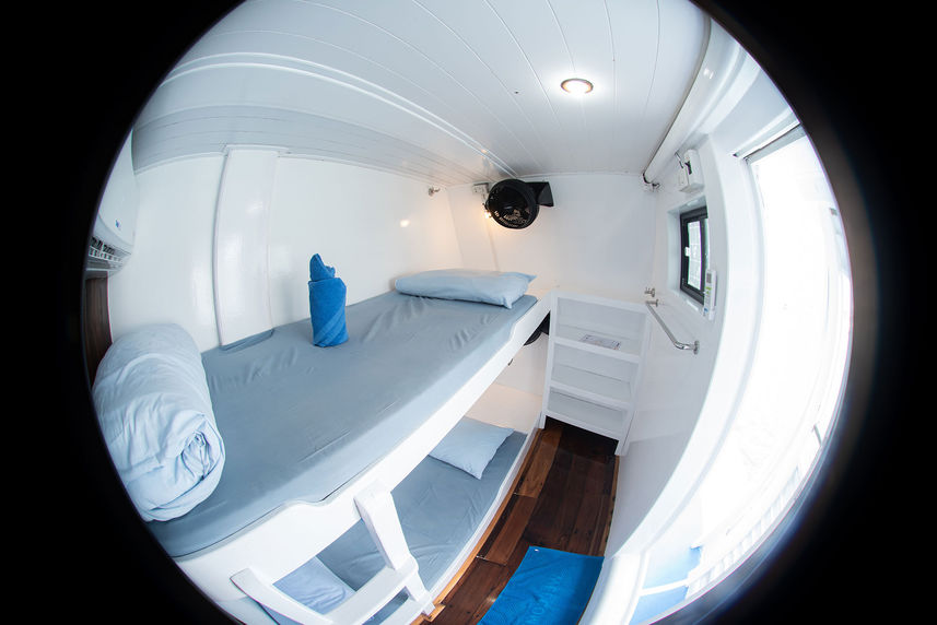 Cabina letto a castello standard - Manta Queen 5