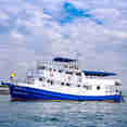 Manta Queen 5