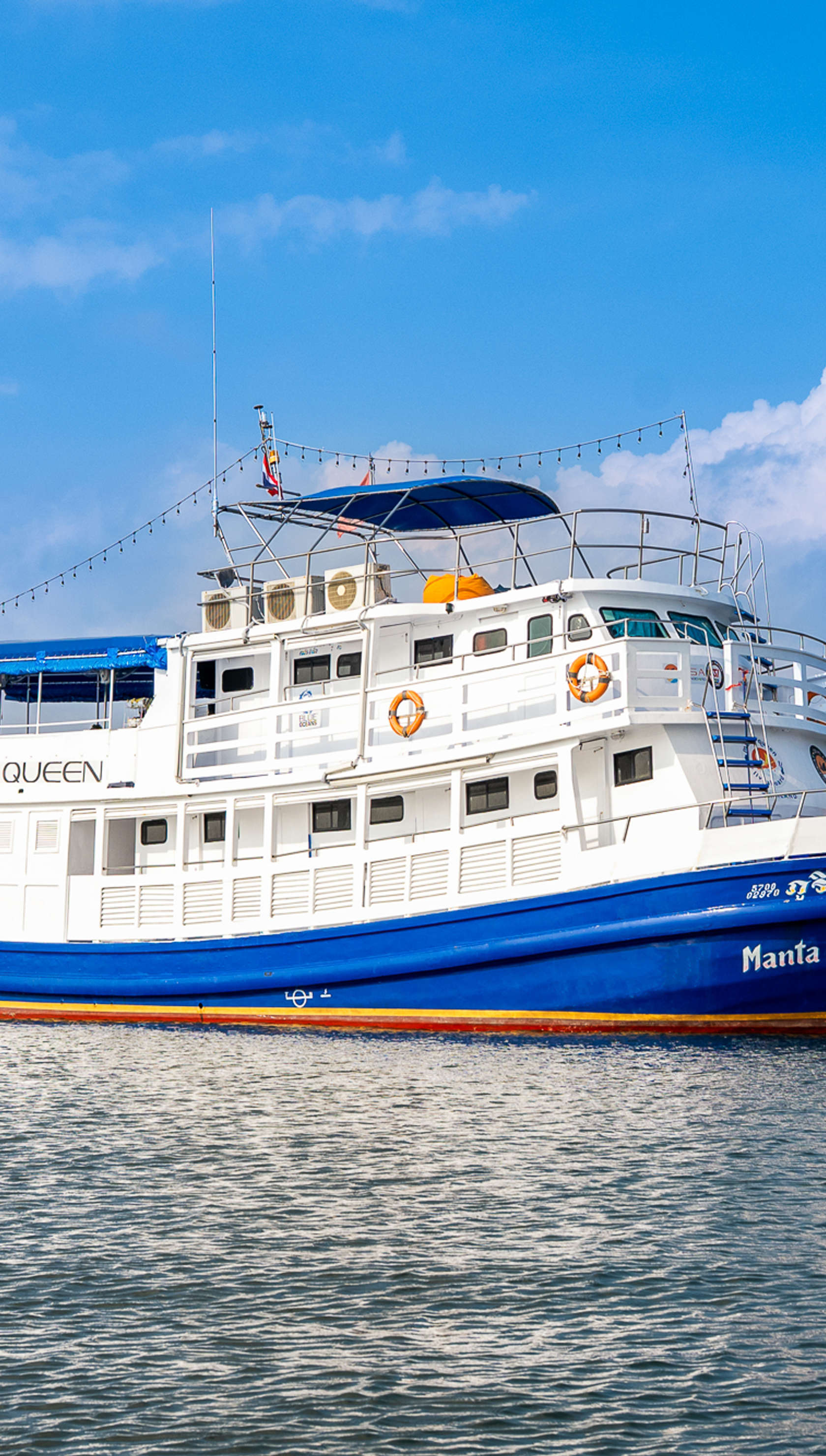 Manta Queen 5