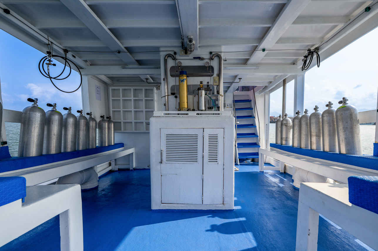 Dive deck - Manta Queen 5