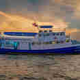 Manta Queen 5