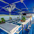 Outdoor Dining - Manta Queen 5