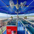 Outdoor Dining - Manta Queen 5