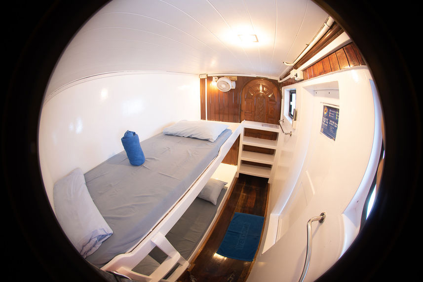 Standard Bunk Cabin - Manta Queen 5