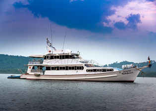 Manta Queen 6