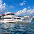 Manta Queen 6