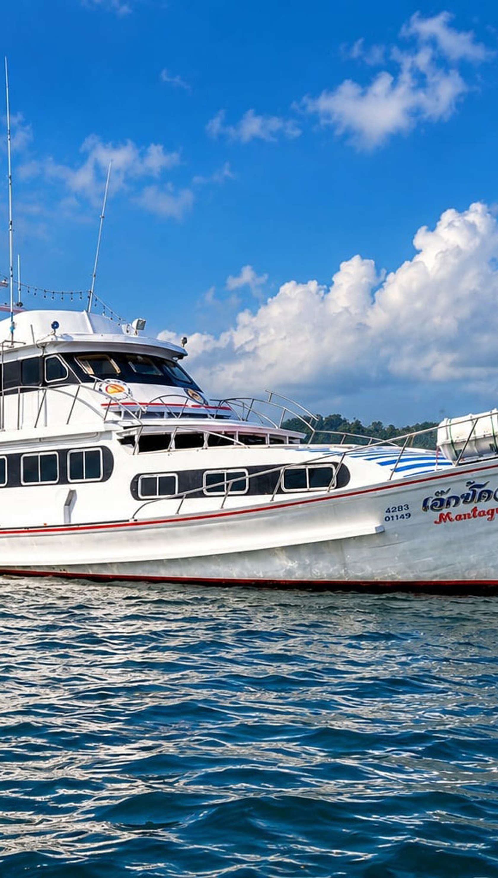 Manta Queen 6