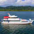 Manta Queen 6