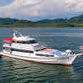 Manta Queen 6