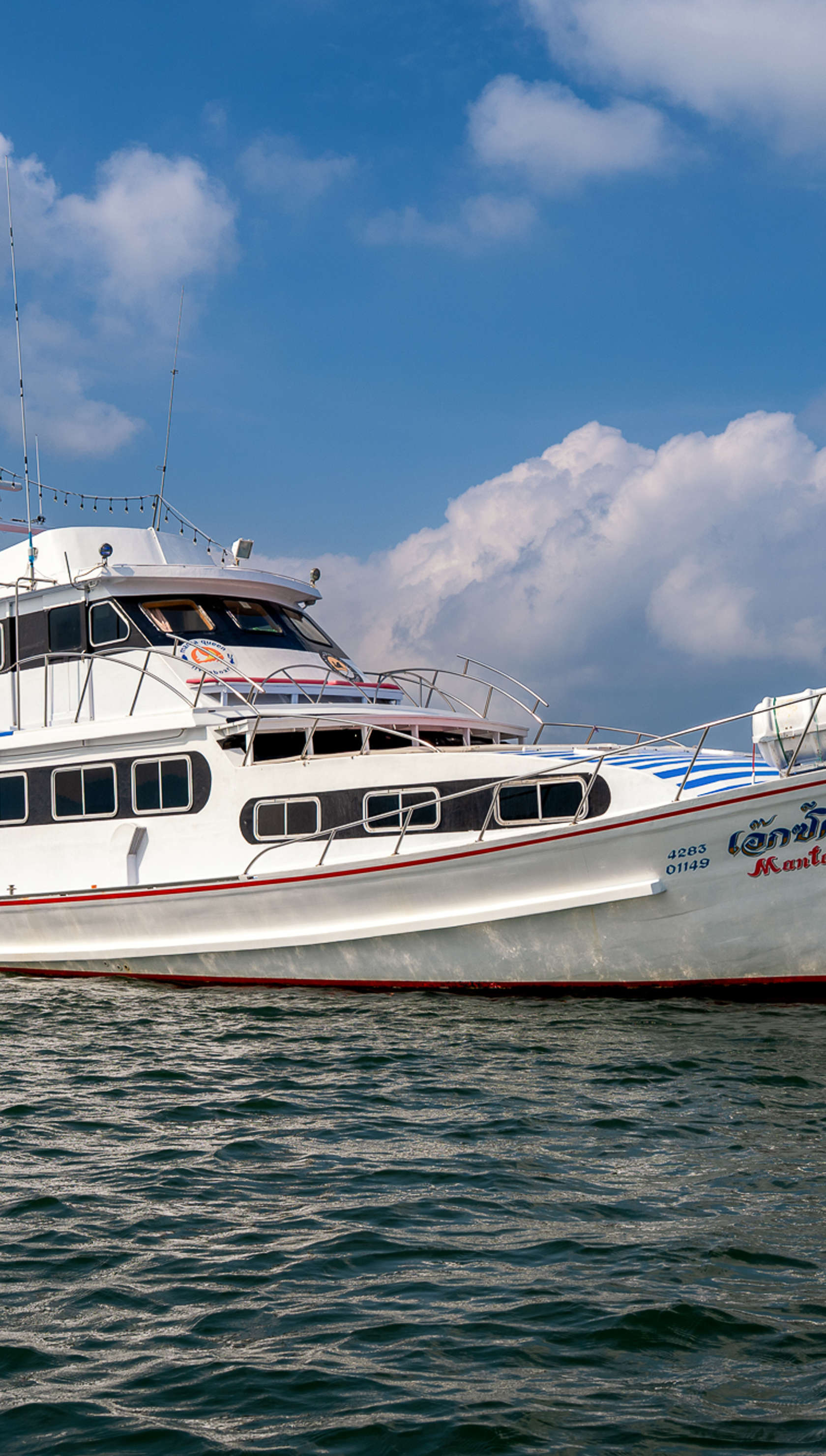 Manta Queen 6