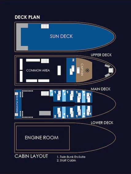 disposizione del ponte