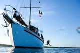 All Star Blackbeards Morning Star