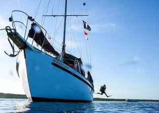 Blackbeards Morning Star