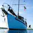 Blackbeards Morning Star