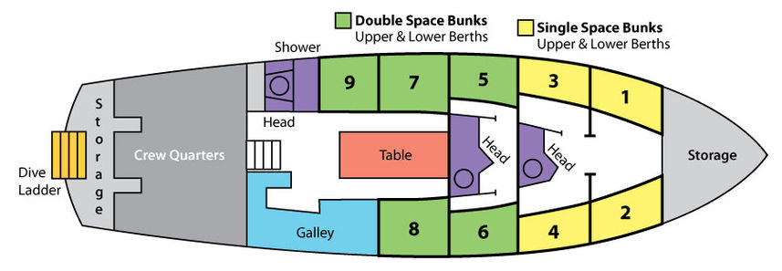 Deck Plan Morning Star floorplan