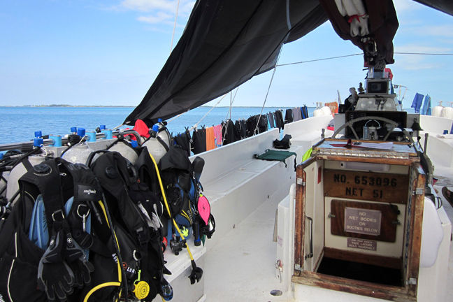 Cubierta de buceo - Blackbeards Morning Star