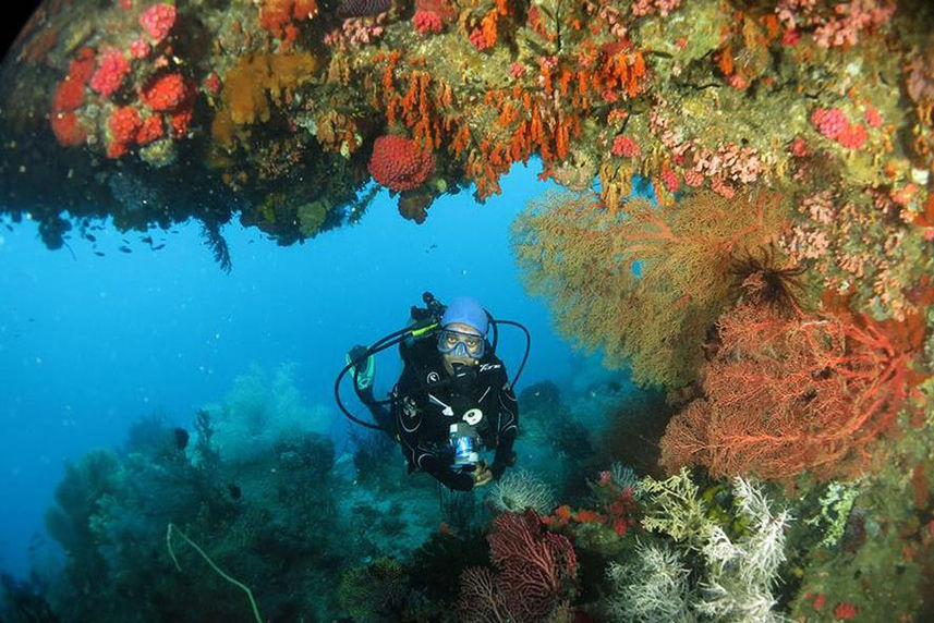 Underwater Diving