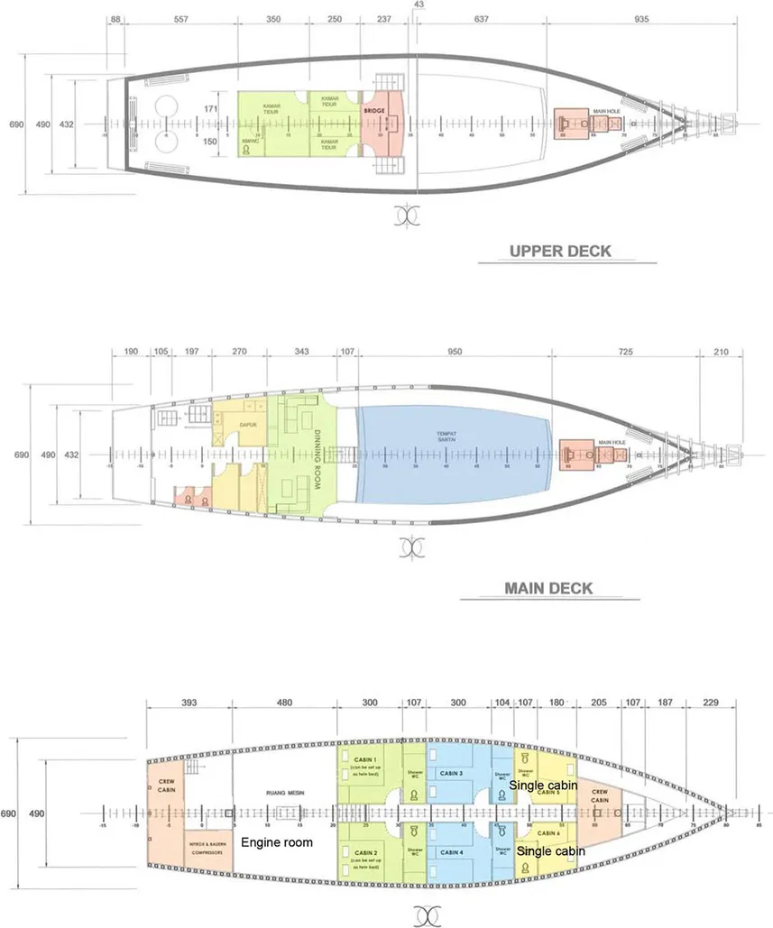 disposizione del ponte
